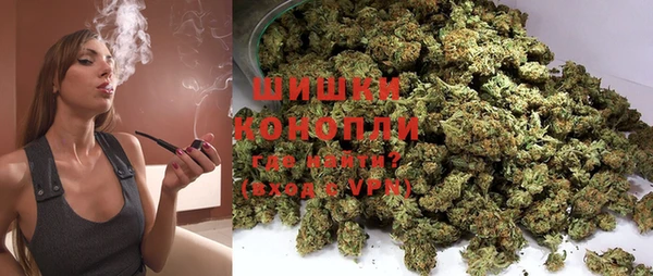 бошки Гусев