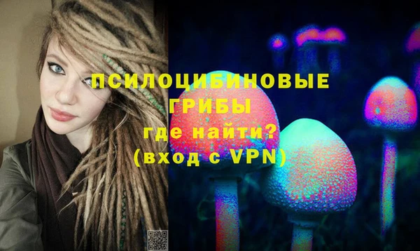 бошки Гусев