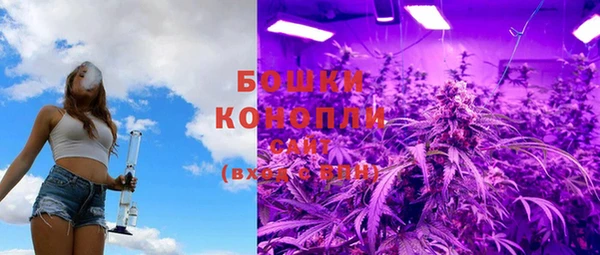 Альфа ПВП Гусь-Хрустальный