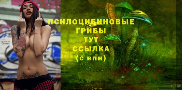 Альфа ПВП Гусь-Хрустальный