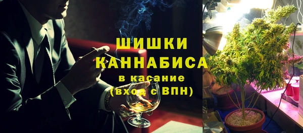 бошки Гусев
