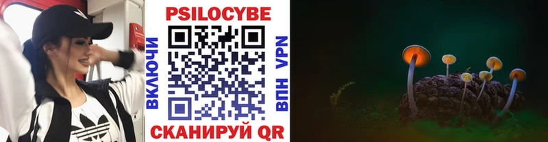 Купить где  Александровское  Галлюциногенные грибы Psilocybine cubensis 